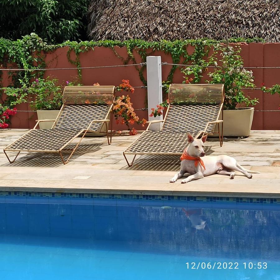 Color Hostel Palomino Ngoại thất bức ảnh