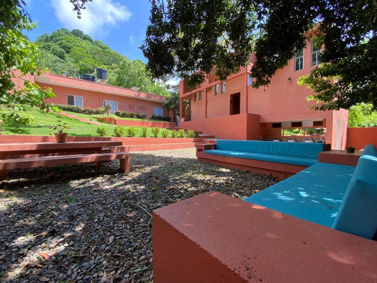 Color Hostel Palomino Ngoại thất bức ảnh
