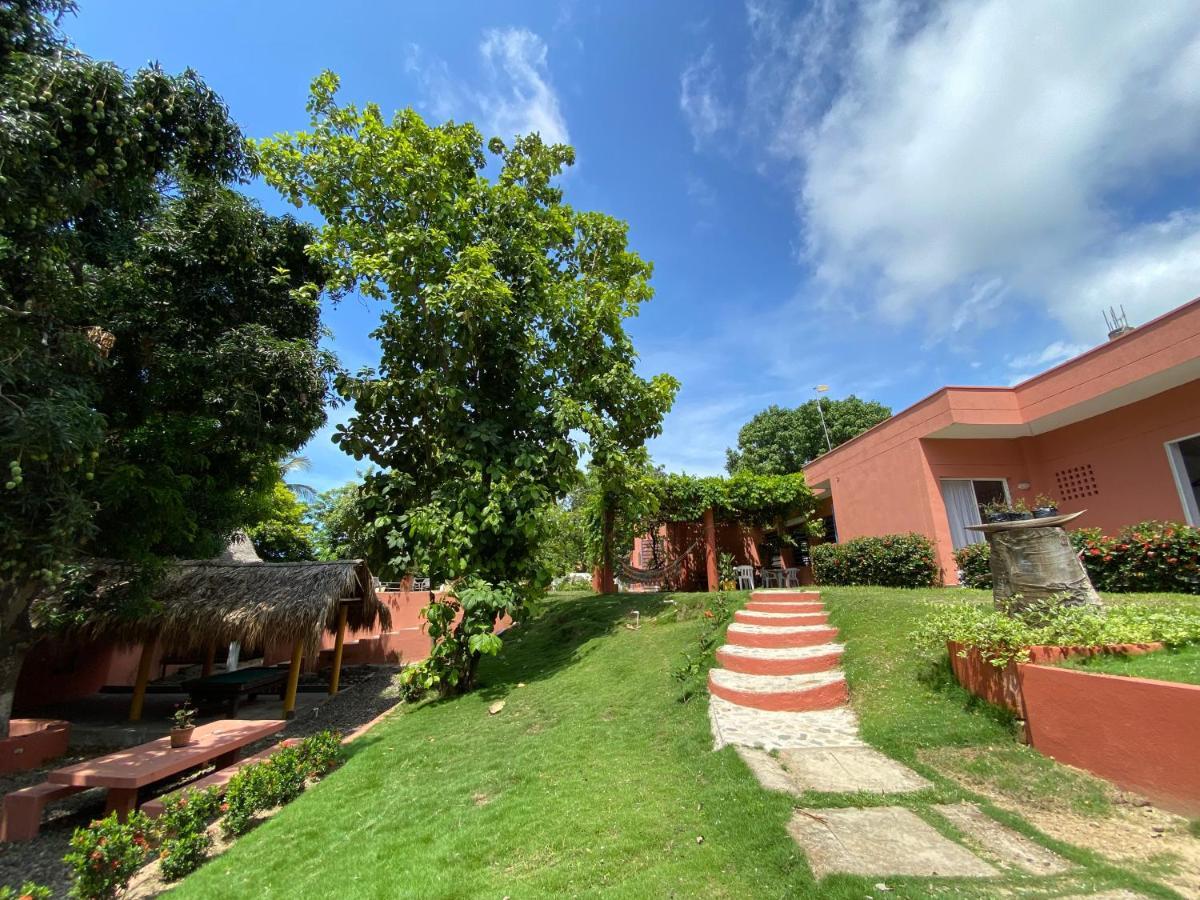 Color Hostel Palomino Ngoại thất bức ảnh