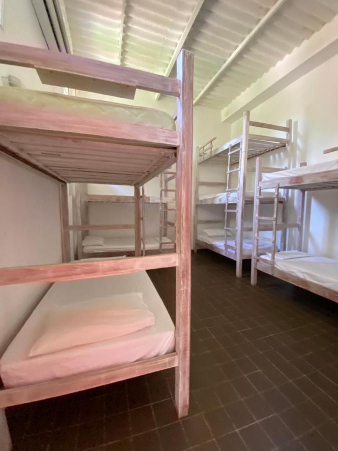 Color Hostel Palomino Ngoại thất bức ảnh