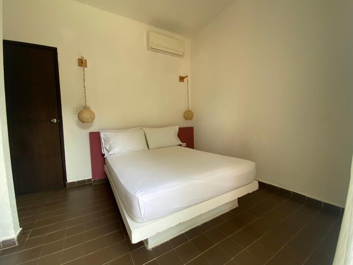 Color Hostel Palomino Ngoại thất bức ảnh