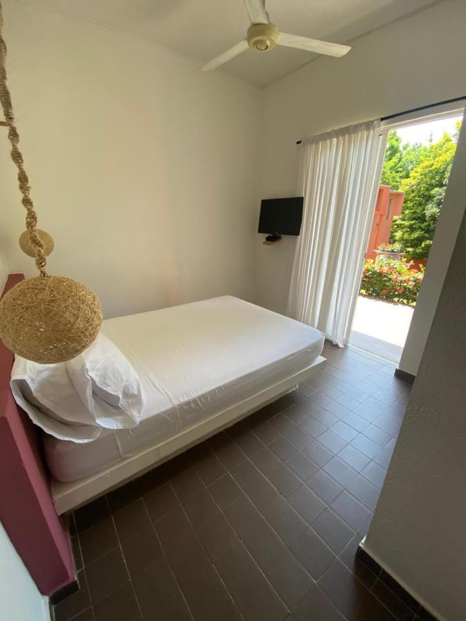 Color Hostel Palomino Ngoại thất bức ảnh