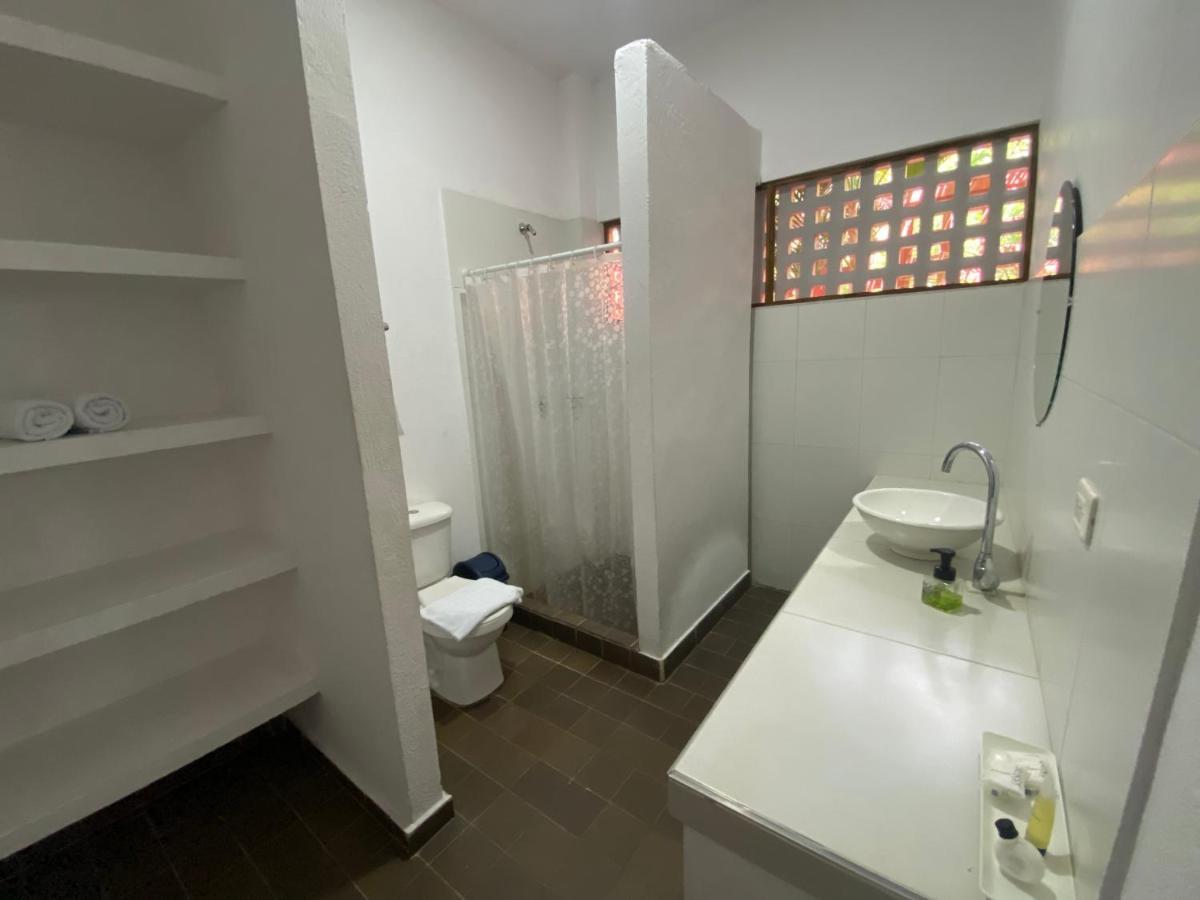 Color Hostel Palomino Ngoại thất bức ảnh