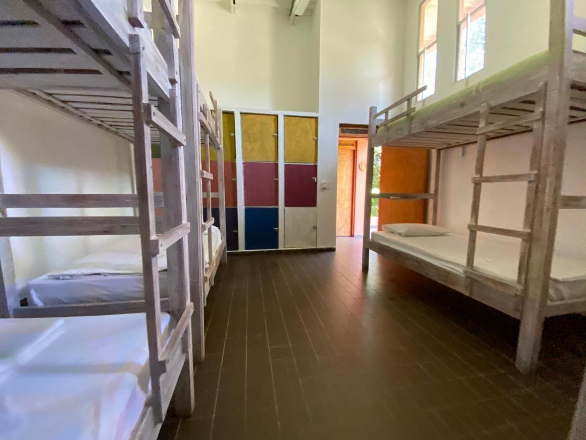 Color Hostel Palomino Ngoại thất bức ảnh
