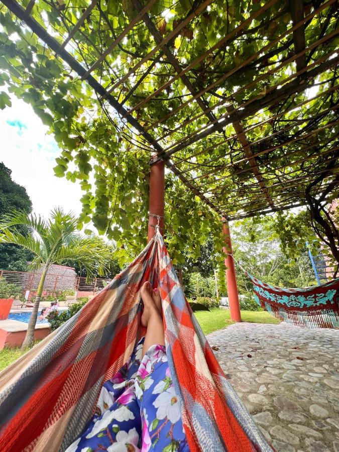 Color Hostel Palomino Ngoại thất bức ảnh