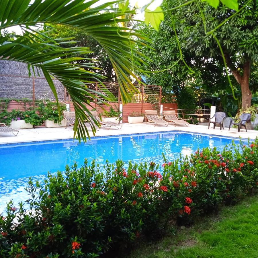 Color Hostel Palomino Ngoại thất bức ảnh