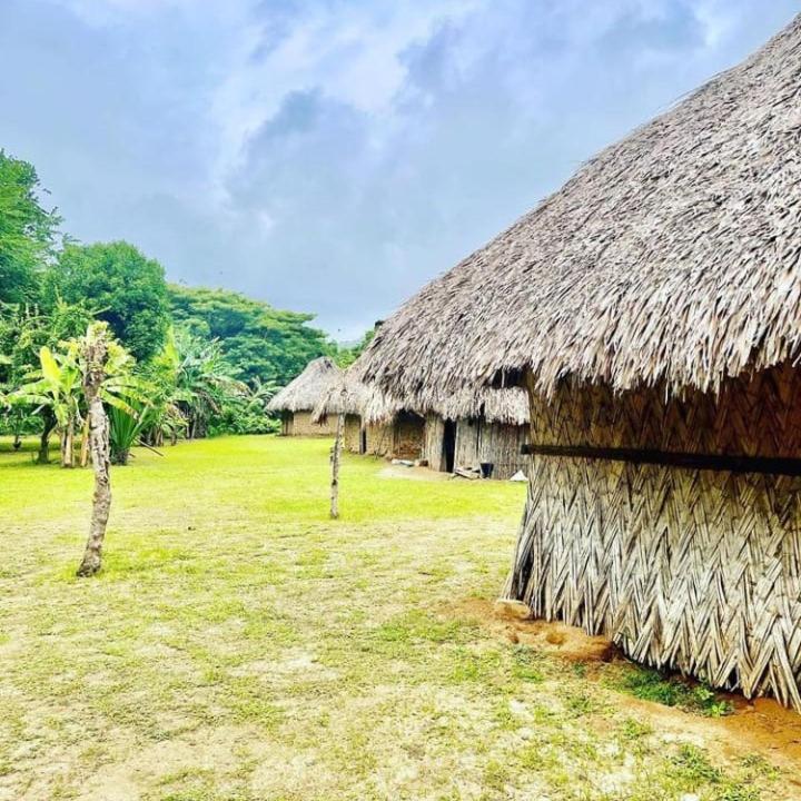 Color Hostel Palomino Ngoại thất bức ảnh